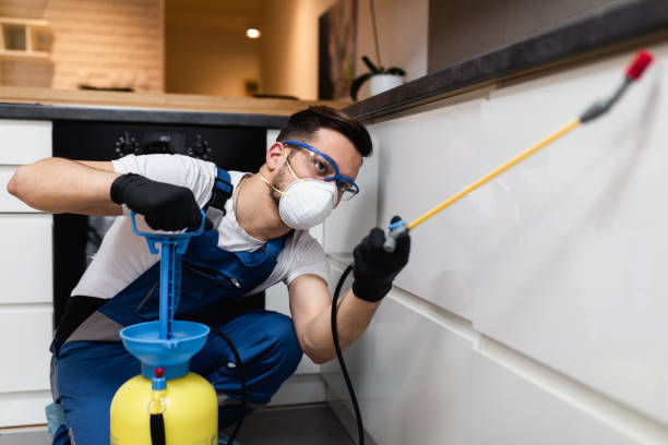  Forsyth, IL Pest Control Pros
