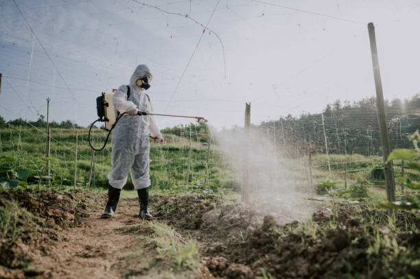 Best Pest Removal Services  in Forsyth, IL