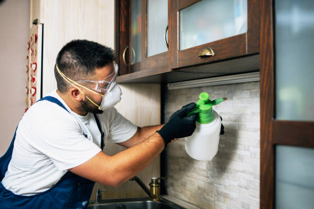 Trusted Forsyth, IL Pest Control Experts