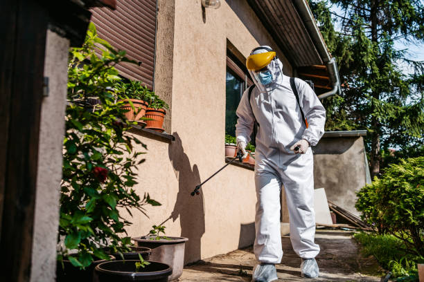 Best Termite Control Services  in Forsyth, IL