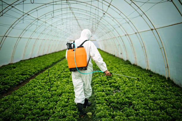 Best Local Pest Control Services  in Forsyth, IL