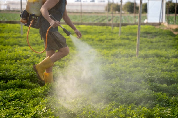 Best Exterminator Services  in Forsyth, IL