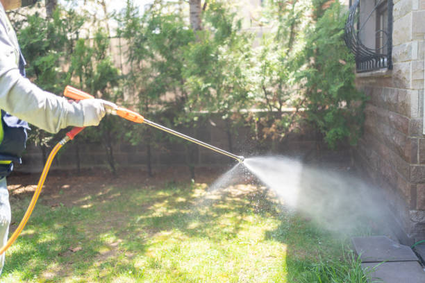 Best Bird Control  in Forsyth, IL