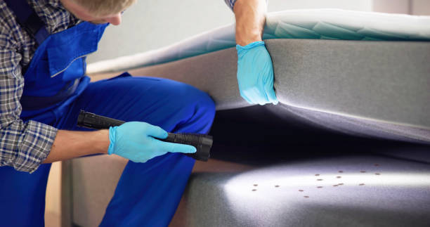 Best Best Pest Control Companies  in Forsyth, IL
