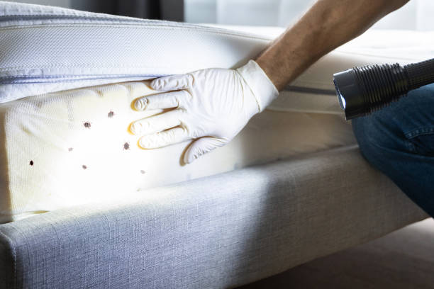 Pest Prevention Services in Forsyth, IL
