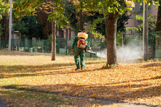 Best Insect Control  in Forsyth, IL