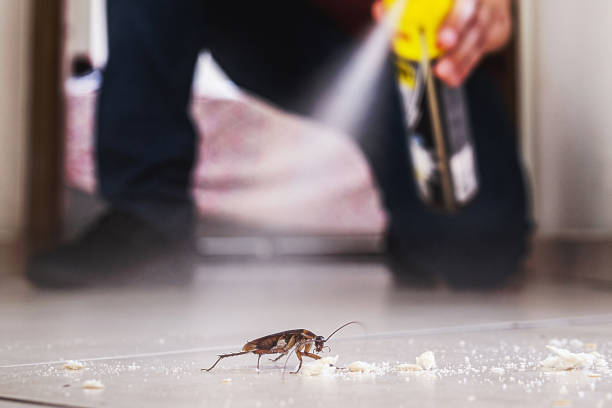 Flea Control Services in Forsyth, IL
