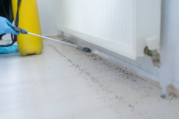 Best Emergency Pest Control  in Forsyth, IL