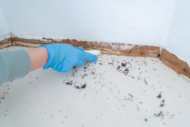 Best Exterminator Services  in Forsyth, IL