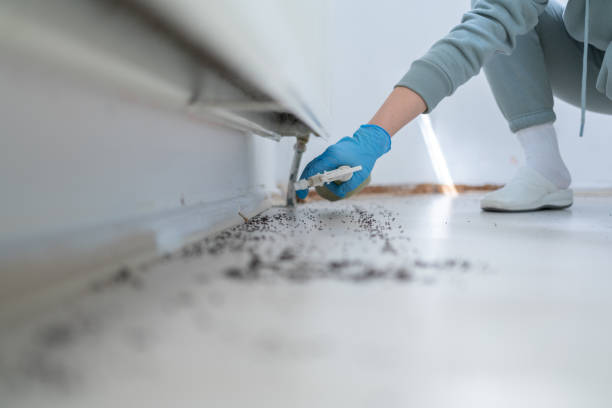 Best Best Pest Control Companies  in Forsyth, IL